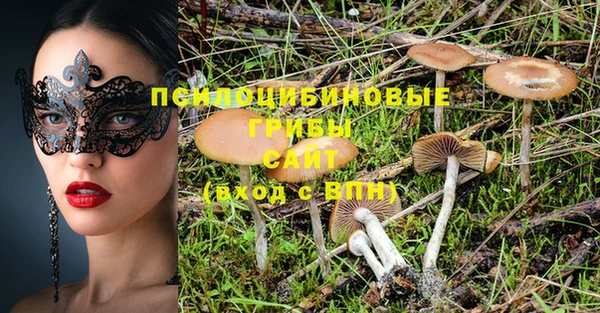 мескалин Богородицк