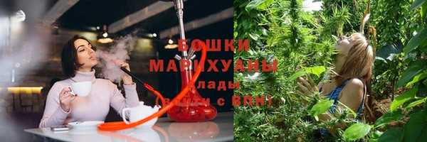 ALPHA PVP Богданович