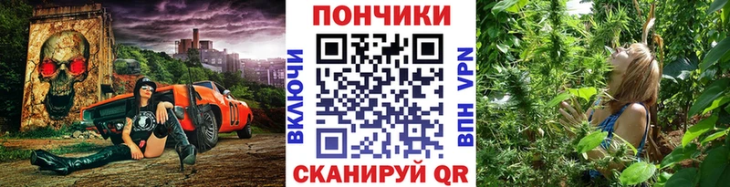 Шишки марихуана марихуана  даркнет сайт  kraken сайт  Михайловка 